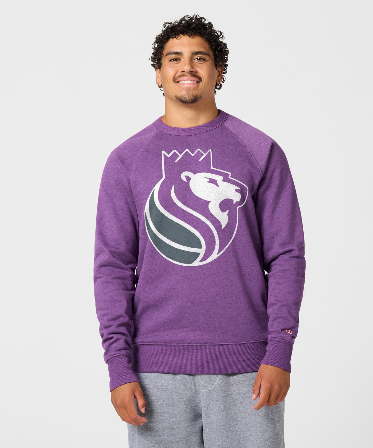 Sacramento Kings Logo Crewneck product image 3