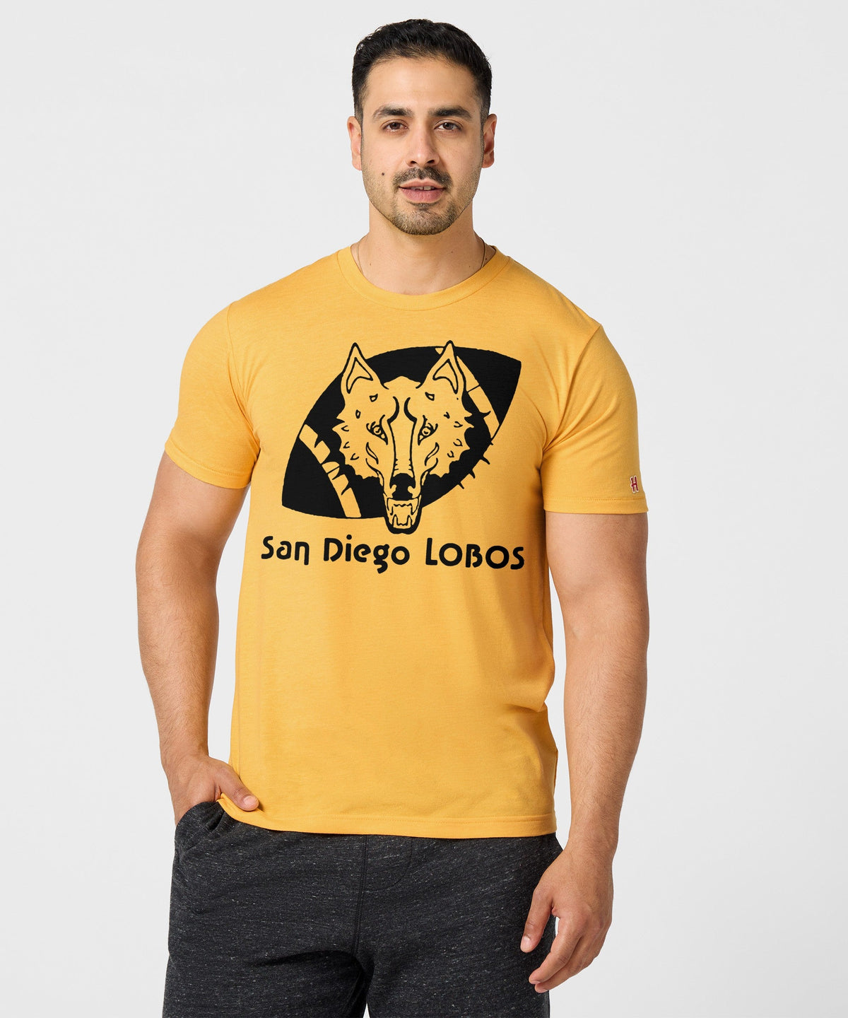 San Diego Lobos product image 3
