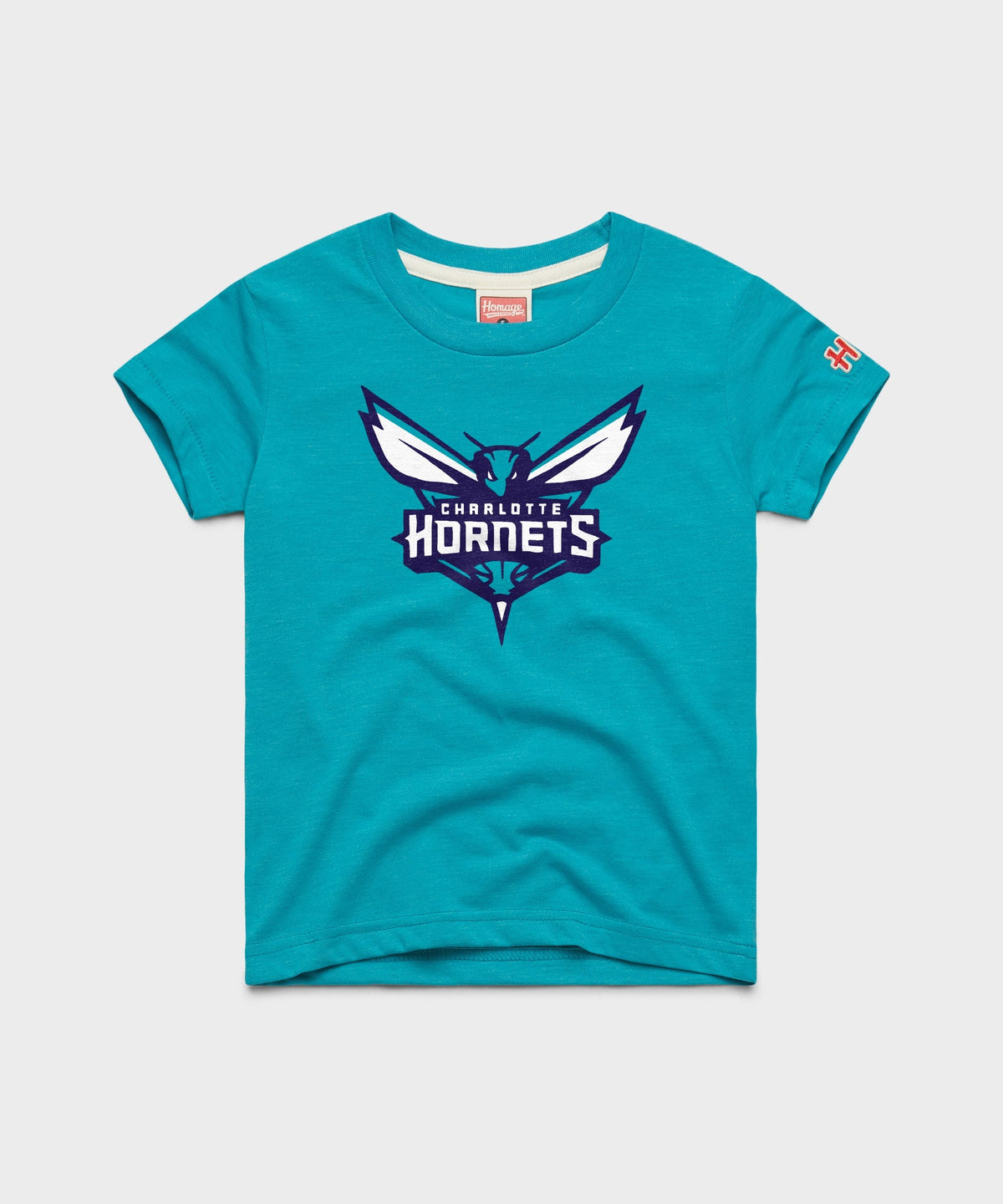 Youth Charlotte Hornets Logo product image 1