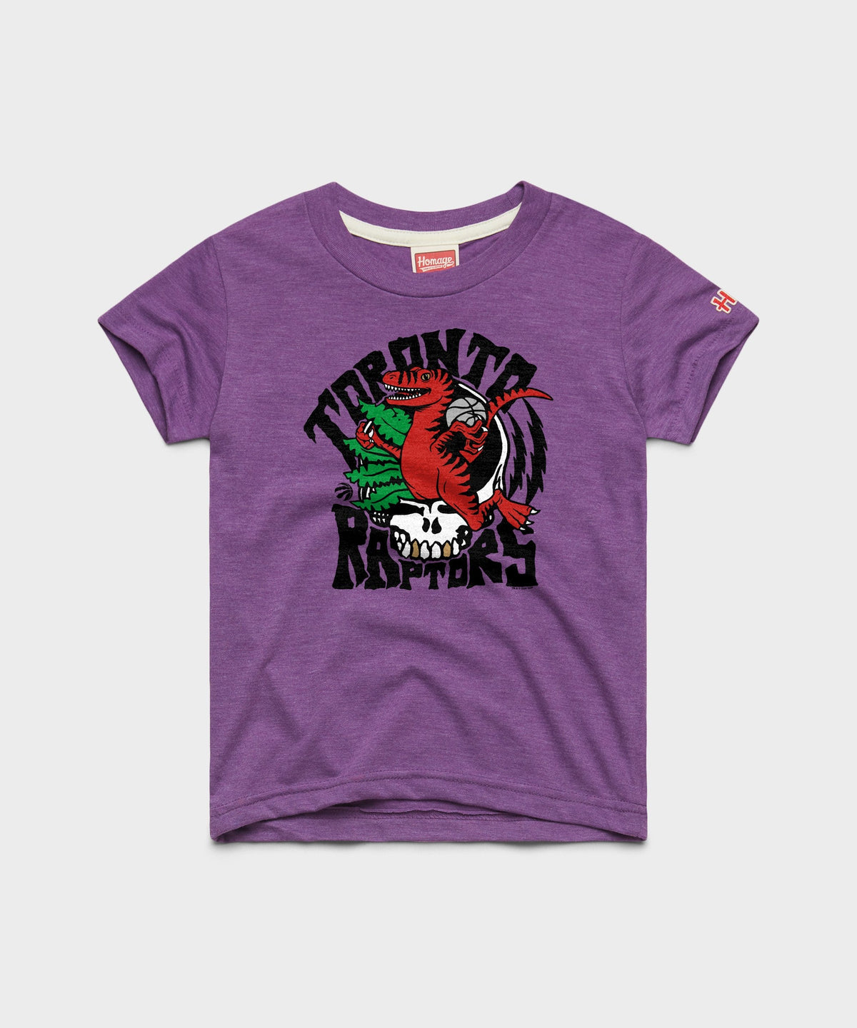 Youth NBA x Grateful Dead x Raptors Skull product image 1