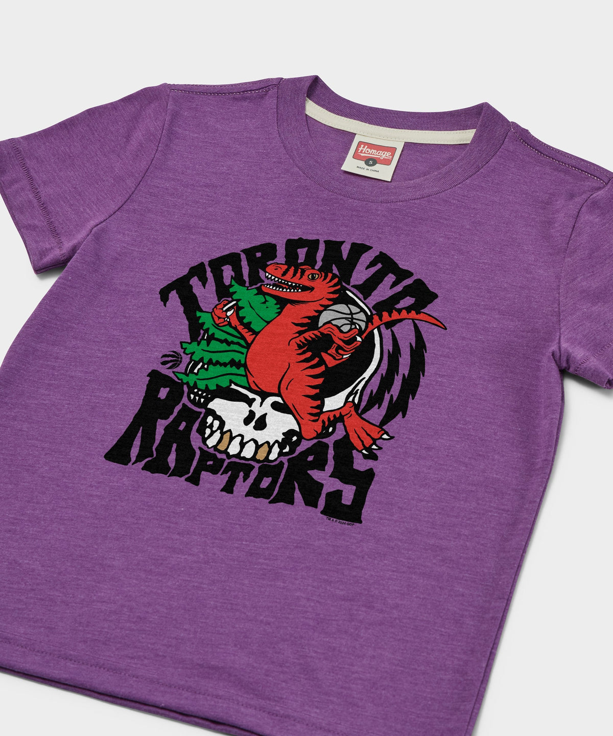 Youth NBA x Grateful Dead x Raptors Skull product image 2